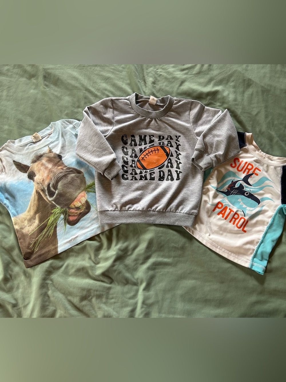 Kids' Gray 'Game Day' Football Sweatshirt & Horse T-Shirt & Rash Guard